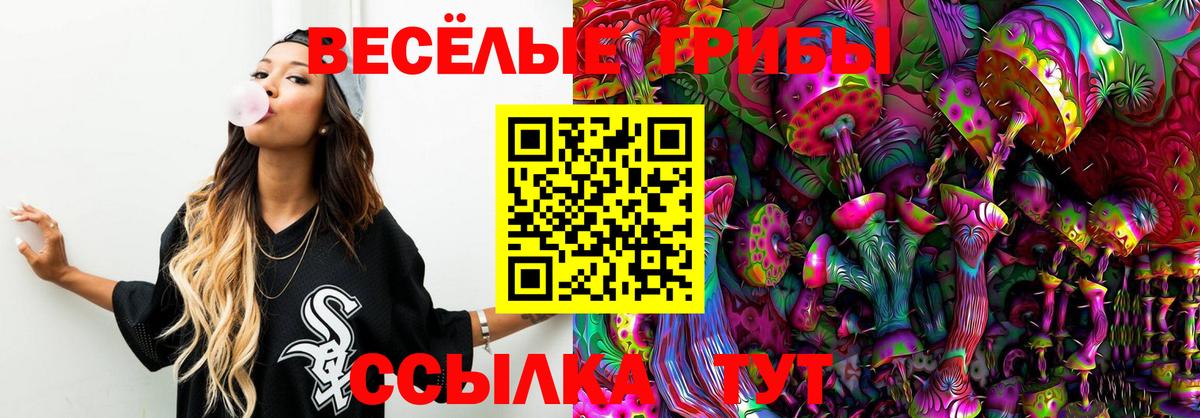 Псилоцибиновые грибы GOLDEN TEACHER Архангельск