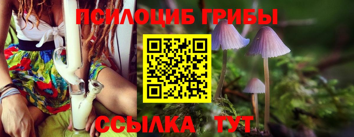 Галлюциногенные грибы GOLDEN TEACHER  Вход с VPN  Архангельск 